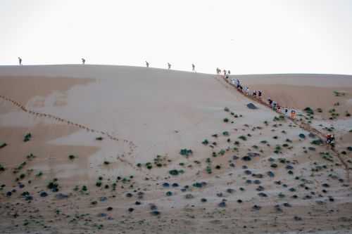 OMAN DESERT MARATHON | 165K 2014